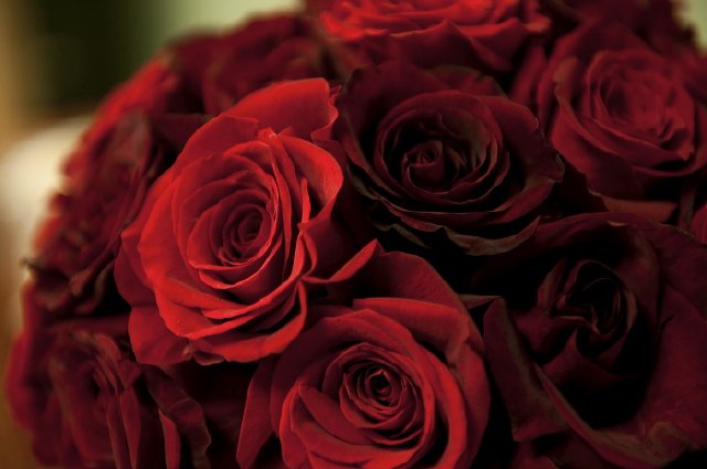 new years eve, nashville wedding, DIY bride, projects, red roses