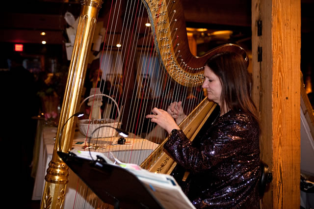 nashville wedding harp