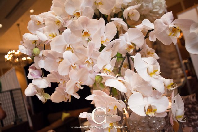 rhonda patton, weddings, events, nashville, vendor, orchids, decor