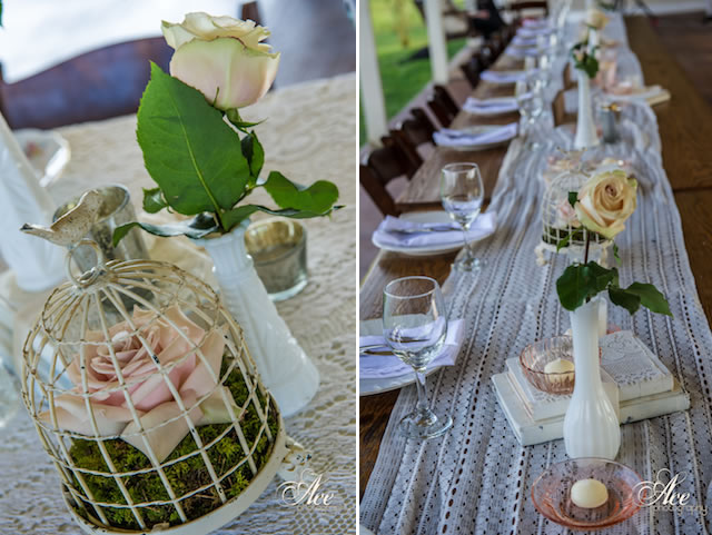 southern food country nashville tennessee buffet front porch farms, ace photography