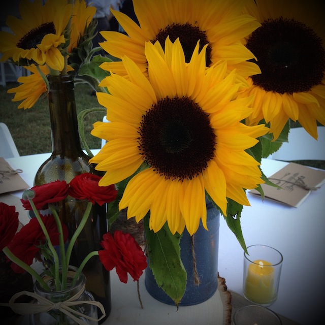 diy nashville wedding, budget wedding nashville, backyard nashville wedding