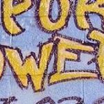 Import Flowers Nashville logo